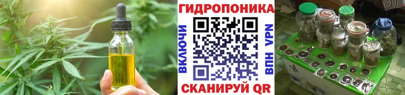 магазин продажи   Чудово  Canna-Cookies конопля 