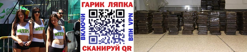 ГАШИШ Изолятор  как найти закладки  Чудово 